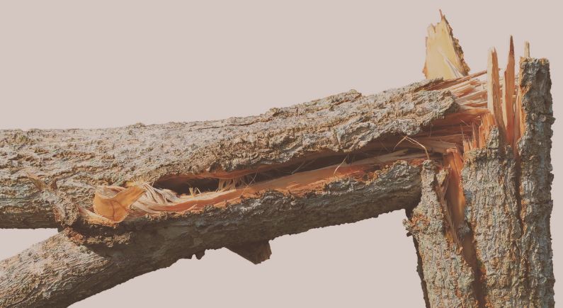 Shall we embrace de-construction?