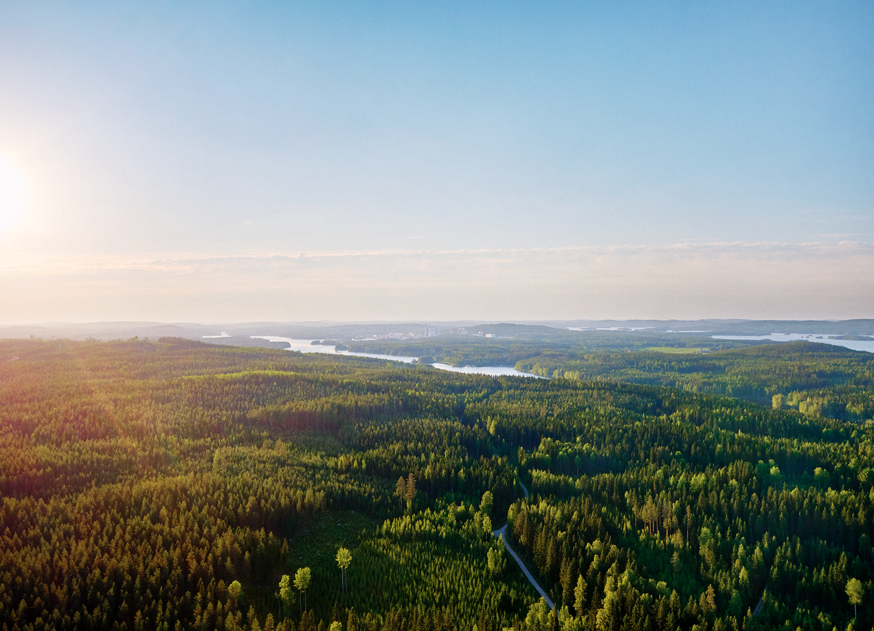 Metsä Board renews its status on CDP’s prestigious Triple A List