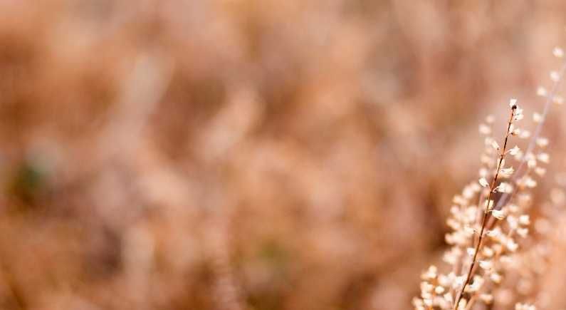 100% Natural in cosmetics is not always better. it's all relative
