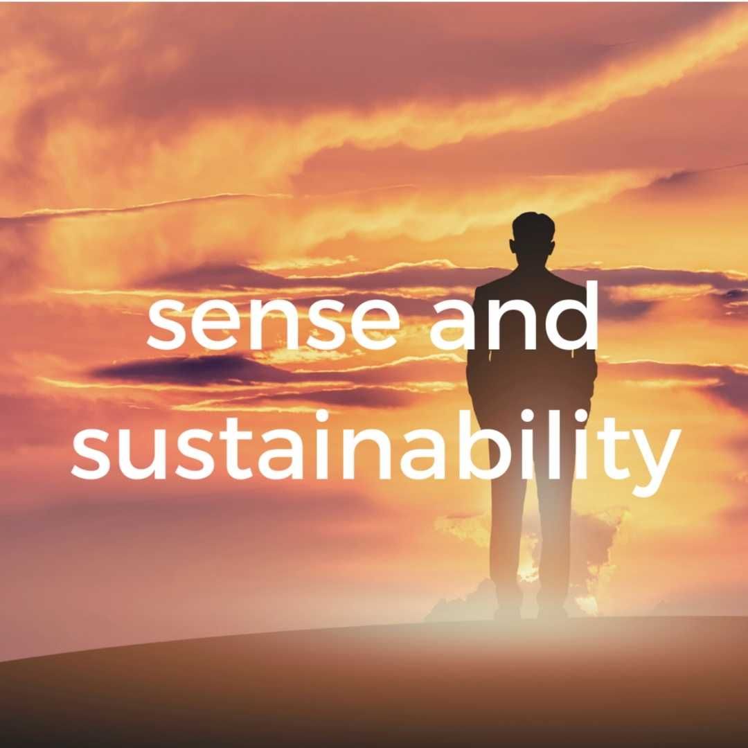 What if all made sense about sustainability and marketing