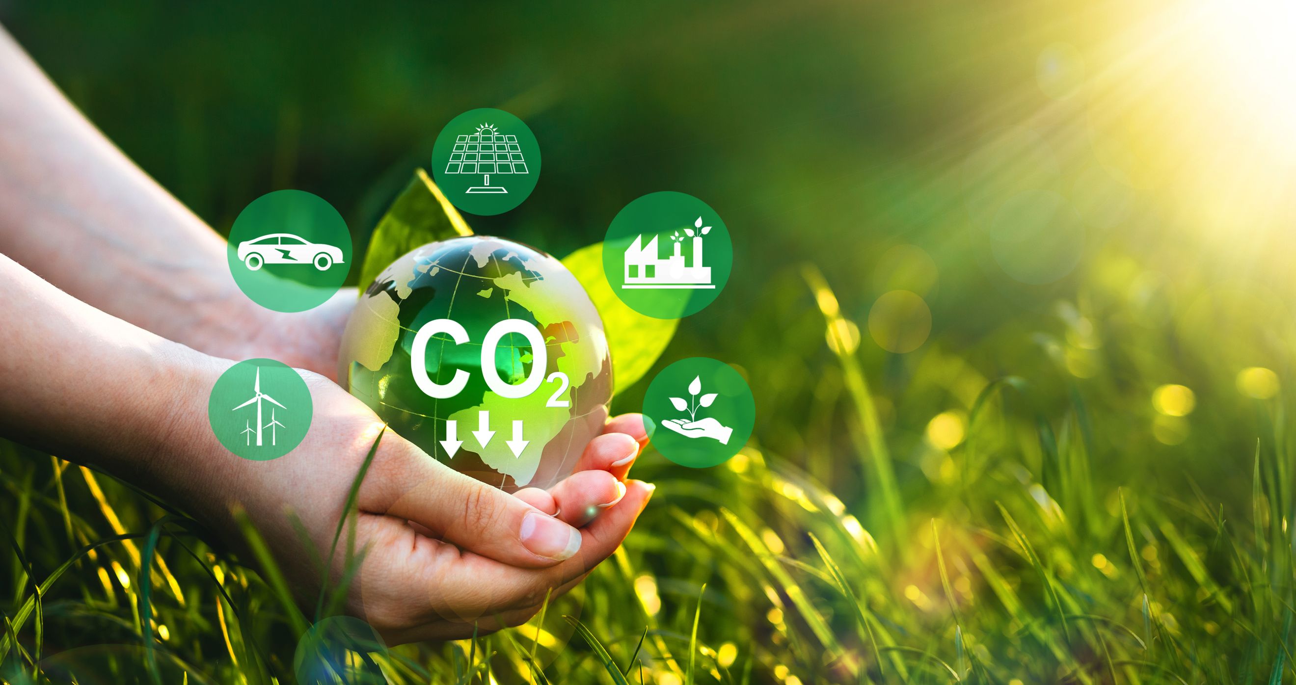 How Science Based Targets can help set clear targets for the reduction of carbon emissions